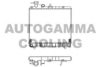 AUTOGAMMA 102125 Radiator, engine cooling